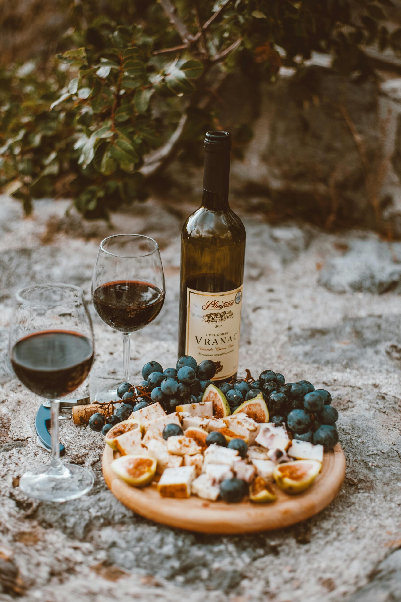 distribuci├│n vinos